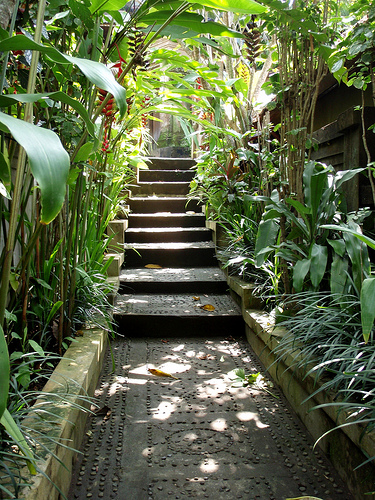 Ubud (via <a href="http://farm4.static.flickr.com/3428/3232008827_cdff5e6116.jpg">Eric and Deanna Pesik</a>)